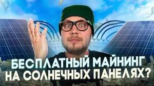 Зачем все тапают «хомяка»? Майнинг на солнечных панелях