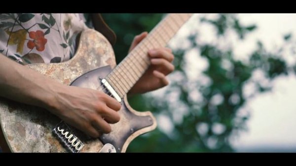 Jakub Zytecki : Sunflower