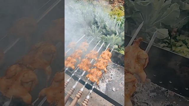 11 августа 2024 г.