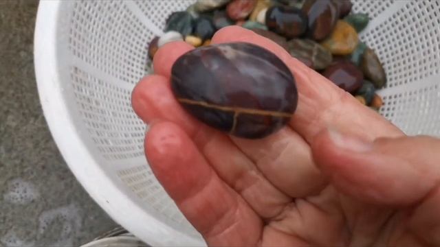 Rock tumbler washout, after week 2 in 80 grit. Gemstone beach stones смотреть онлайн