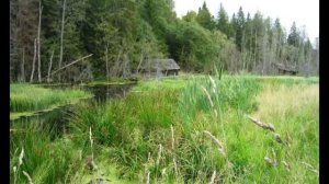 Заброшенные деревни.