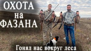Охота на фазана/ Гонял нас вокруг леса