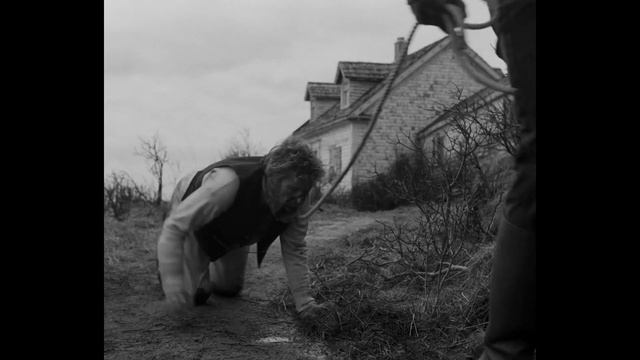 Video essay: Robert Eggers: Despair, Terror, Death смотреть онлайн