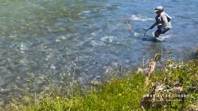 Summer fly fishing in New Zealand @ Owen River Lodge смотреть онлайн