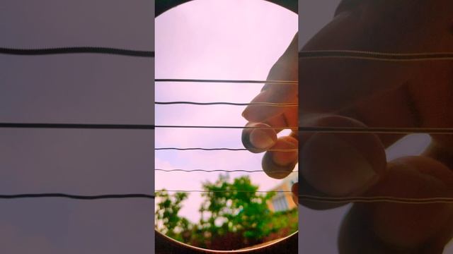 The Last Of Us 2 - Future Days - Pearl Jam (fingerstyle guitar oscillation) смотреть онлайн