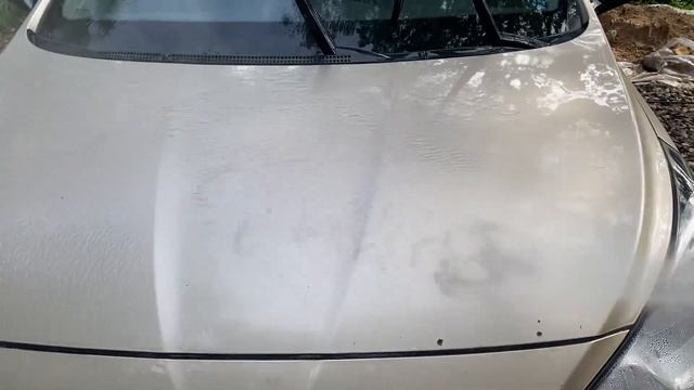 2 августа 2024 г. смотреть онлайн