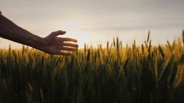 Wayfaring Stranger - Jovie (Vocals and Irish Whistle) смотреть онлайн