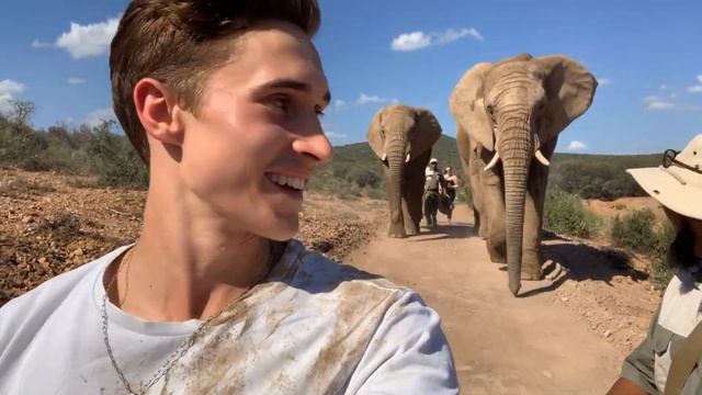 WE SAW THE BIG 5 ON A SAFARI !! South/Africa week 3 смотреть онлайн