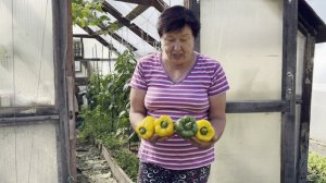 ОТЗЫВ СЛАДКИЙ ПЕРЕЦ ФЕЛЬДМАРШАЛ СУВОРОВ. ПЕРЦЫ ПОЛКОВОДЦЫ