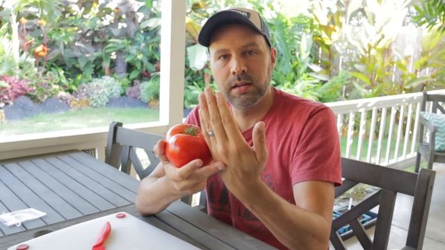 How to Save Tomato Seeds for Next Year смотреть онлайн