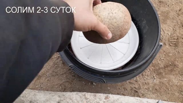 КАРАСЬ ВЯЛЕНЫЙ И КОПЧЕНЫЙ смотреть онлайн