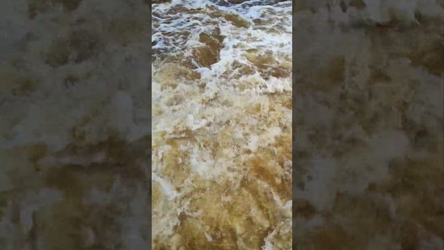 Открыли платину, воды много! смотреть онлайн