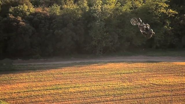 Edgar Torronteras dans toute sa splendeur смотреть онлайн