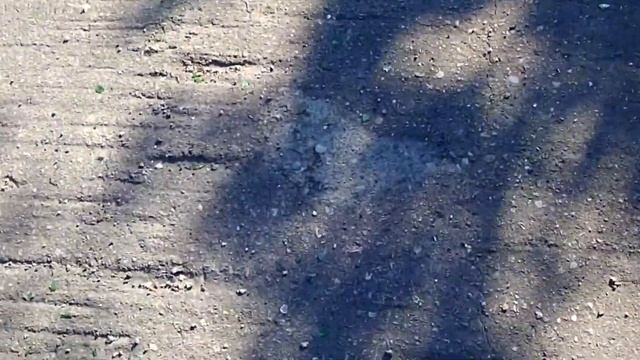 Дорога до карьера смотреть онлайн