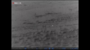 Охота на волка и шакала в Астраханской области