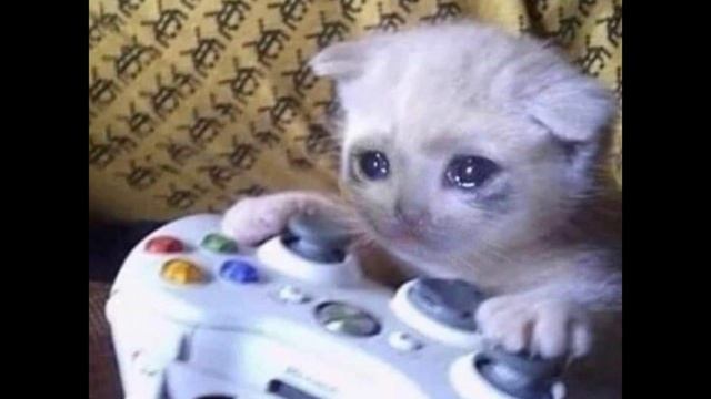 Ooes - Last Summer (slowed)