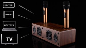 Колонка с микрофонами для караоке Jonsen PRO 2.1