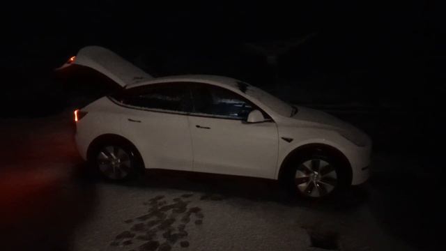 First snow of the winter, lets do the Light Show! смотреть онлайн