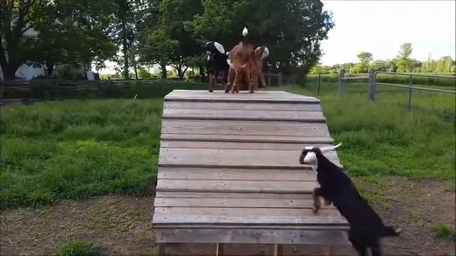 Friday Night King of the Mountain смотреть онлайн