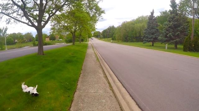 Американская роскошь в Чикаго за 1080$ аренда жилья в США смотреть онлайн