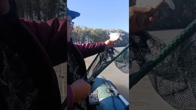 Рыбалка на КОЛЬЦО с лодки на Обской протоке. смотреть онлайн