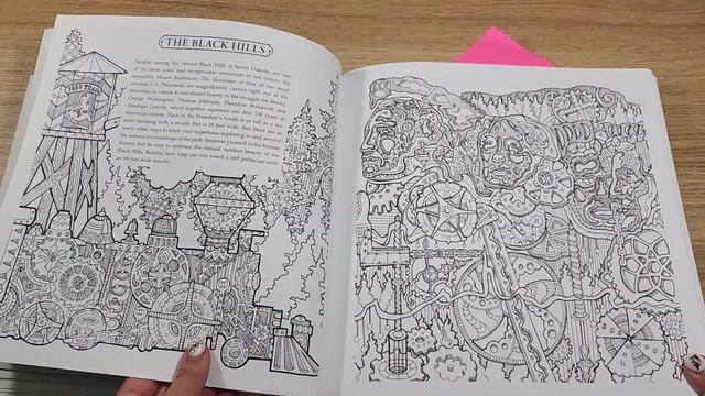 Обзор на раскраску 