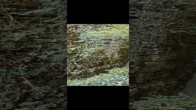 Каньон Хашупсе смотреть онлайн