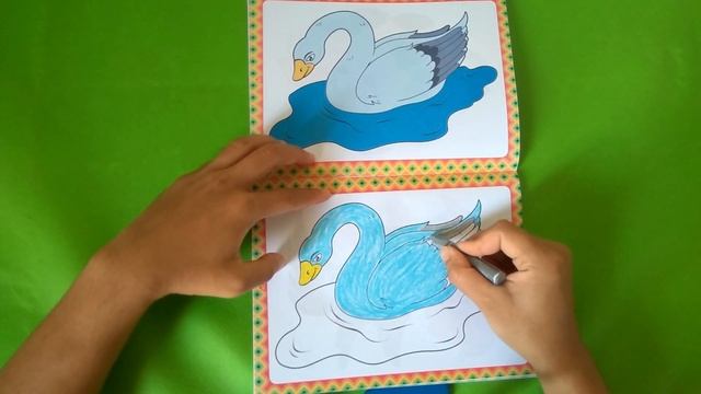 Coloring Swan for Kids - LevianTV Toys смотреть онлайн