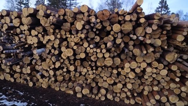Строительство дороги на Байкальском тракте смотреть онлайн