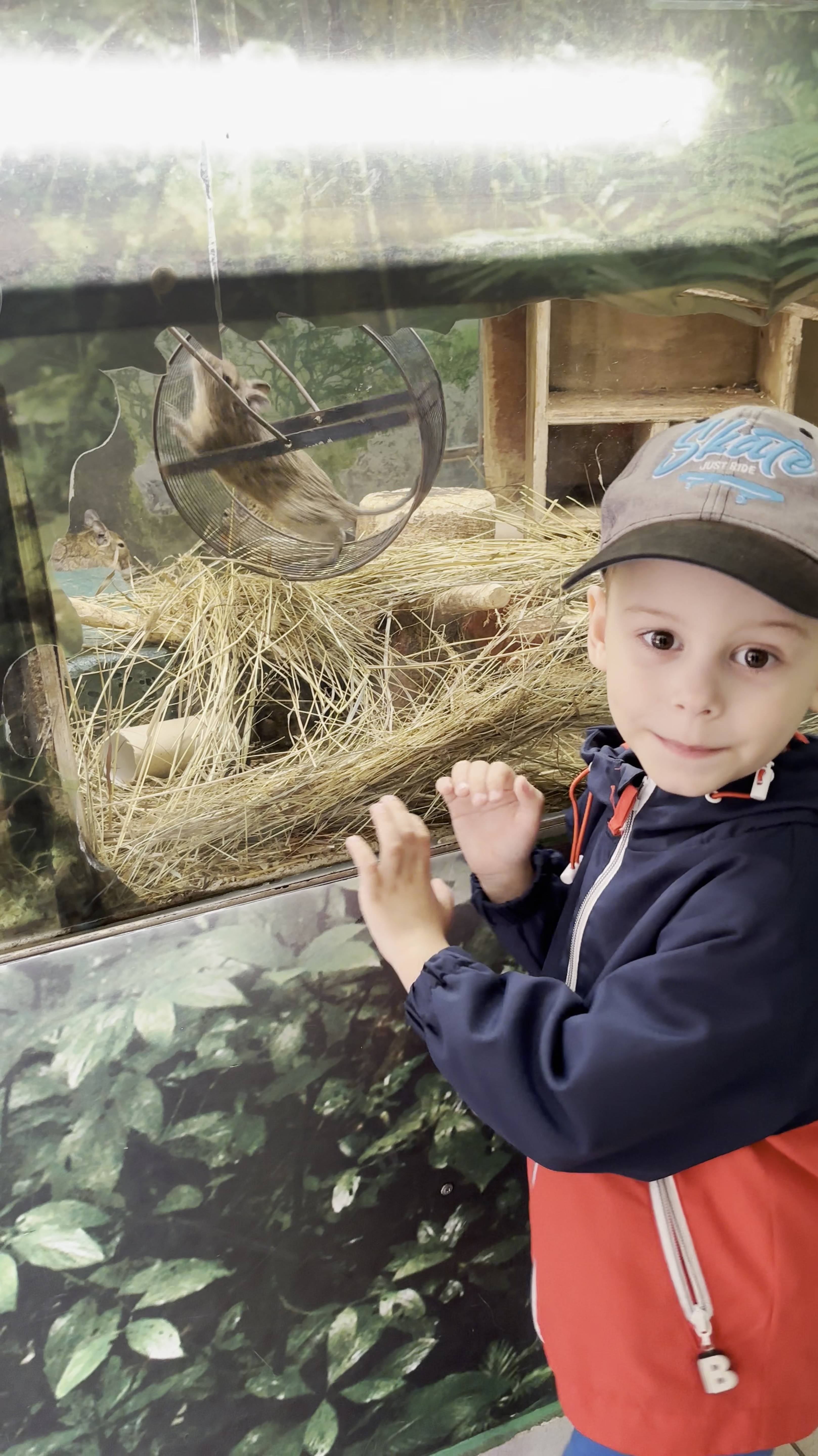 Белка в колесе!) смотреть онлайн