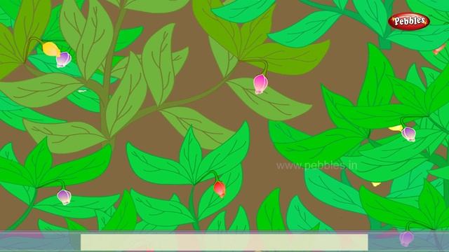 பூக்கள் | Vanna Pookkal | Tamil Rhymes смотреть онлайн