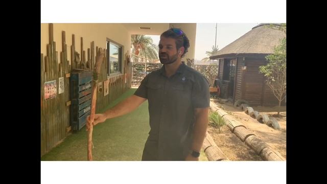 Outdoor Learning Summer Challenge- Journey Stick смотреть онлайн