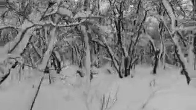 Ростов-на-Дону, мкр.Темерник, роща, зима 2013(янв) ч.2