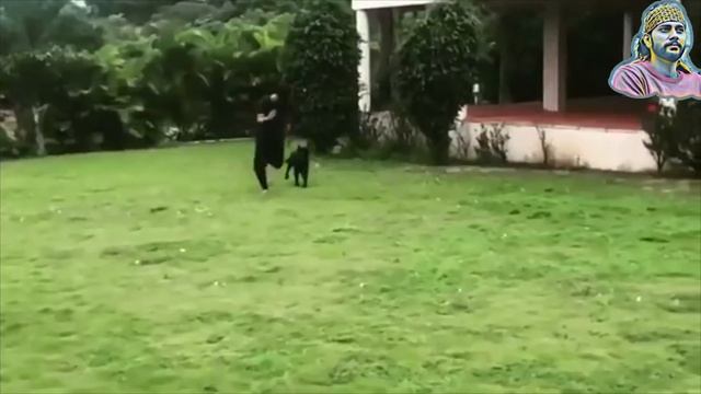 Late Sushant Singh last note to his Dog "Fudge" 😭 смотреть онлайн