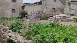 Шок! И так живут простые китайцы? Что я здесь делаю, узнаете посмотрев видео