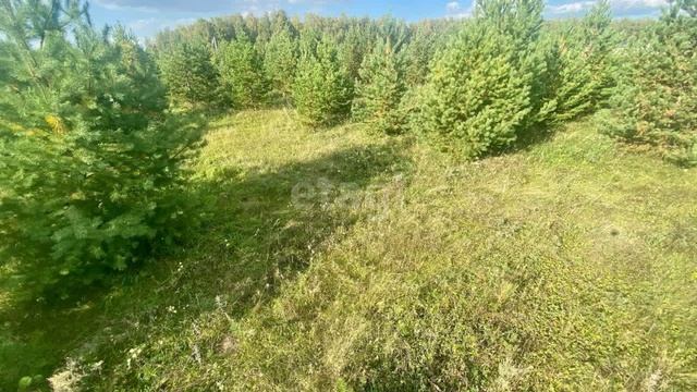11452185 смотреть онлайн