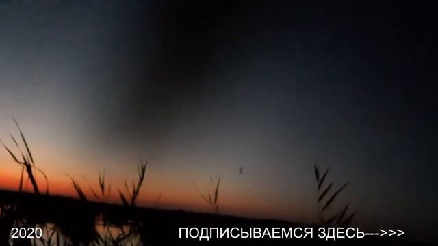 ВЕЧЕРНЯЯ ЗОРЬКА. ОХОТА НА УТКУ 2020 смотреть онлайн