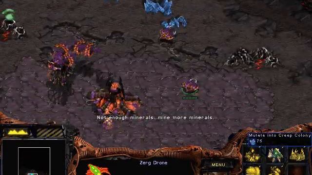 StarCraft - Zerg Campaign: Overmind - 3. The New Dominion смотреть онлайн
