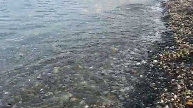 Адлер, пляж 