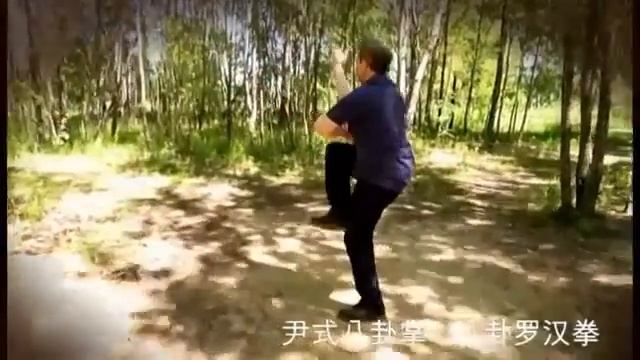 Инь-ши багуачжан