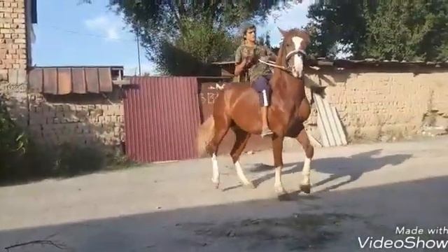 Лошадь Кашкар смотреть онлайн
