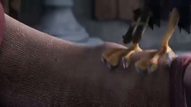 Hollywood Cartoon  Movie In Hindi Dubbing / Animated Movie Hindi Dubbed