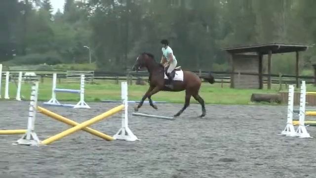 The Last Say Week #10 смотреть онлайн