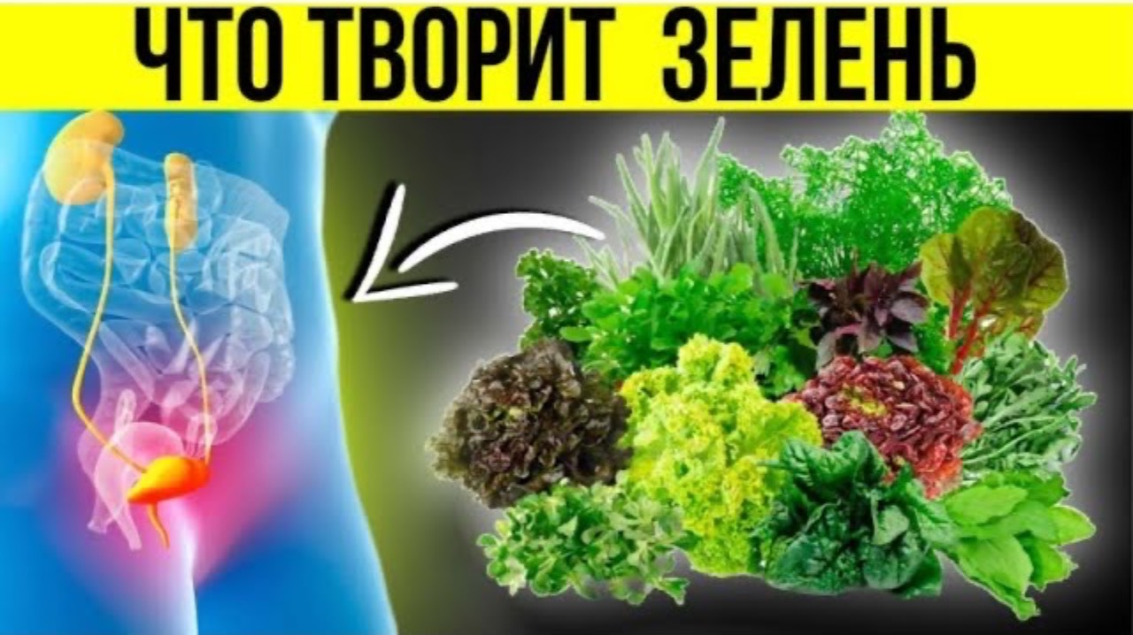 🔥Зелень: польза и вред для организма/ Чем полезна зелень/ что творит зелень?