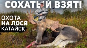 Охотничьи будни в Катайске: Лось в прицеле Blaser R93