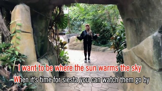 La Isla Bonita 主唱:嘉玲