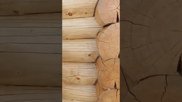 #герметик #сруб #строительство #сергейлодыга #деревянныйдом #строимдом смотреть онлайн