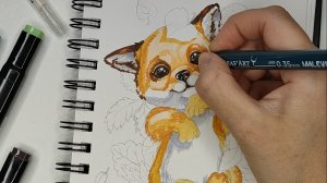 Лисёнок. Скетчинг