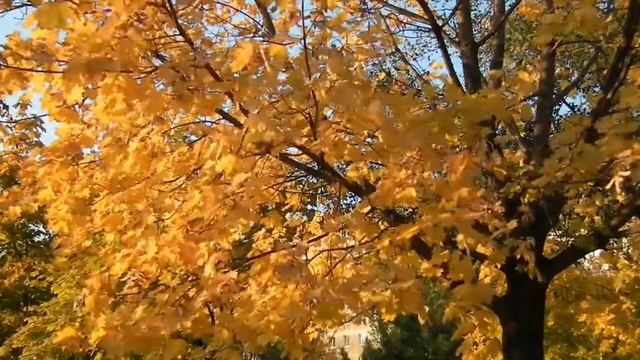 Koskaan Rakkaus Kuole Ei - Francis Goya смотреть онлайн