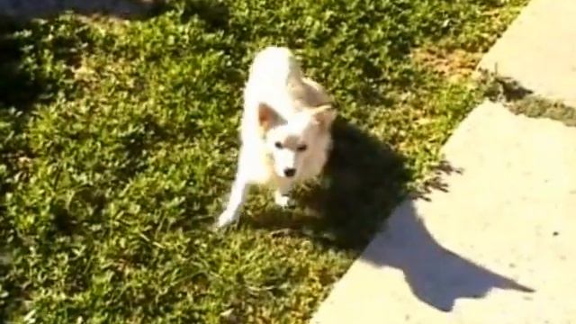 Скадовск 2013. Улица Артема. смотреть онлайн